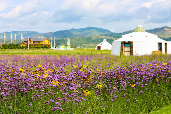 1700731357009037196.jpg 640 (1)_副本.jpg