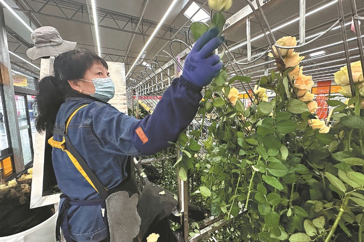 Hefty investment helps flower industry come up roses in Linxia