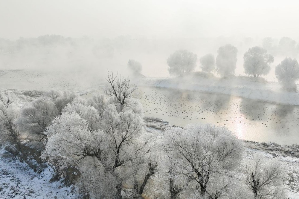 Mist and rime create natural art in Inner Mongolia
