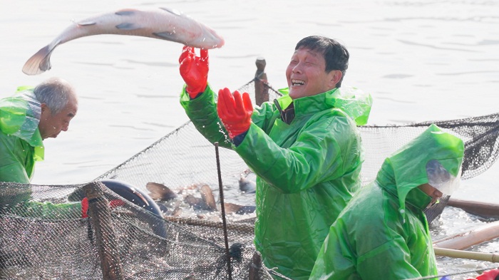 Black carp harvest marks start of Spring Festival celebrations in Wuxi