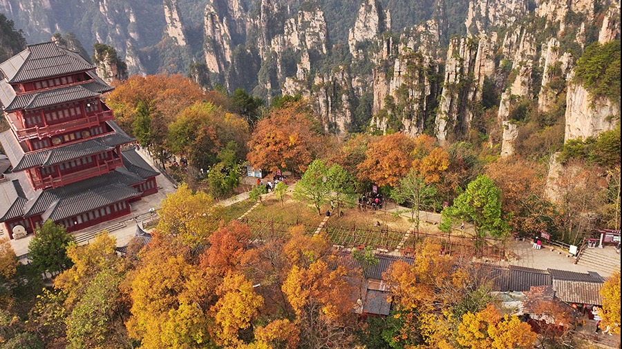 Tianmen Mountain puts on colorful clothes