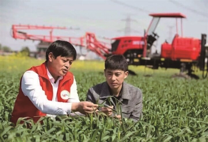 Nantong harvests nearly 3.5m tons of grain in 2023