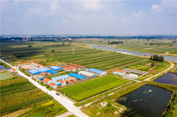 Rural vitalization well undergoing in Qingdao