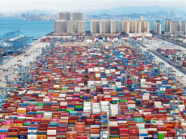 1704350312774067753.jpg 青岛日报-2.jpg