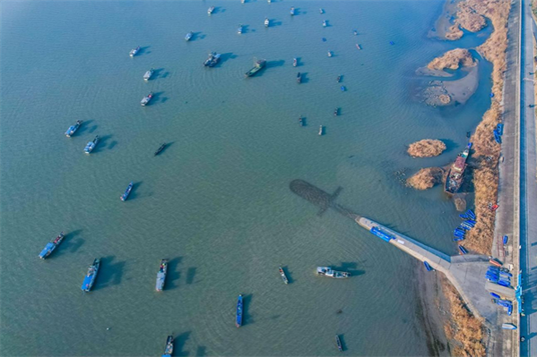 100,000 fry released into Qiantang River as Hangzhou districts unite for conservation