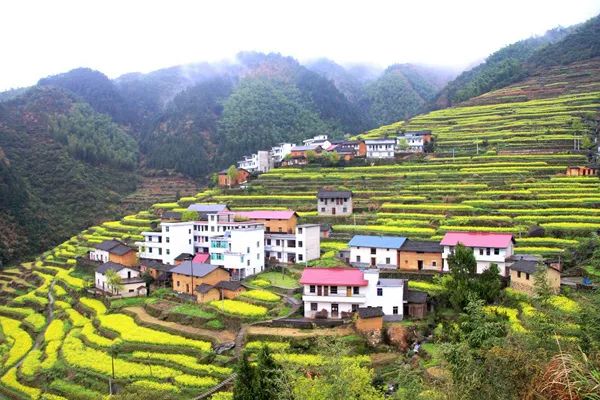 Quzhou committed to ecological development