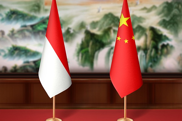 China-Indonesia trade shows strong resilience