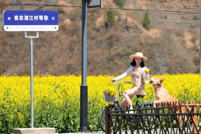 Guangyuan blossoms into flower wonderland