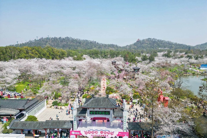 Hubei's most beautiful flower viewing season kicks off