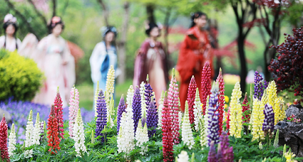 2024 Floral Festival kicks off in Slender West Lake