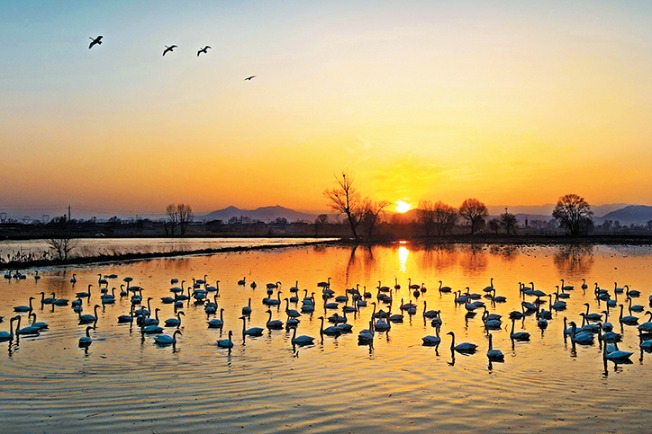 Shanxi acts to expand biodiversity