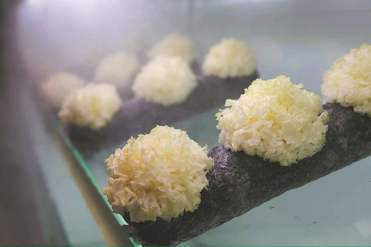 1715671415117065319.jpeg 2.jpeg