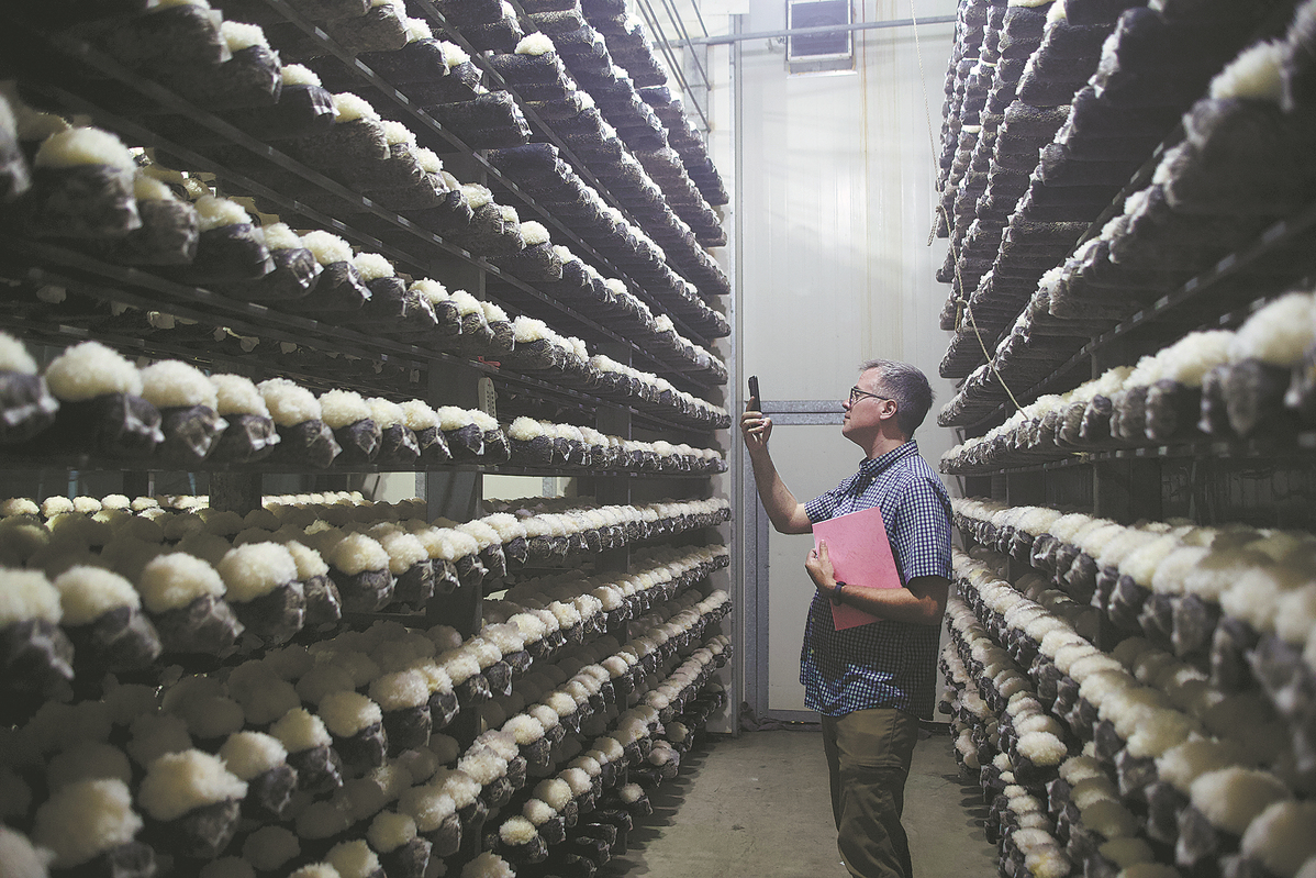 1715671397710002176.jpeg 3.jpeg