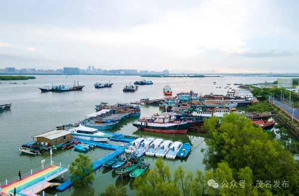 1718265963480022004.jpg 9.jpg