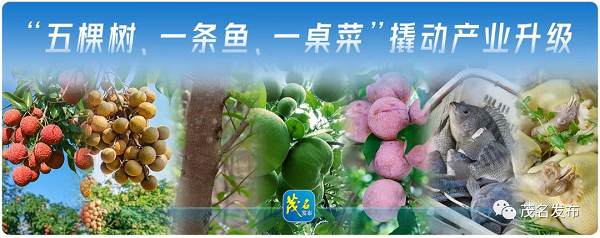 1710123594717012302.png 37.png