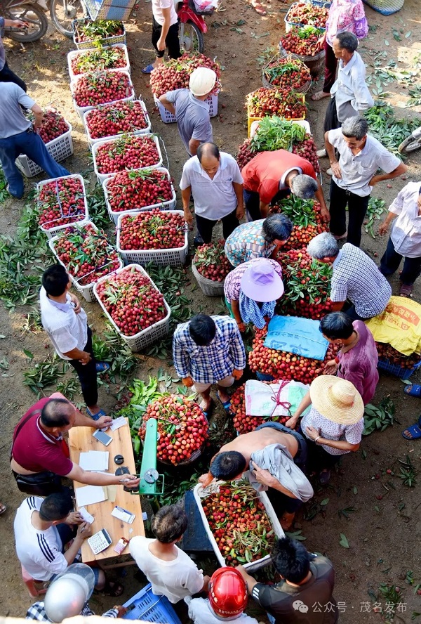 1716281834152040748.jpg 10.jpg