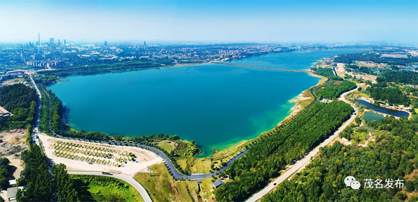 1629428556269085209.jpg 未标题-3.jpg