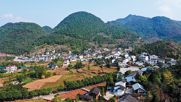 1721798824610082065.jpeg 66986ac1a31095c551b557d4.jpeg