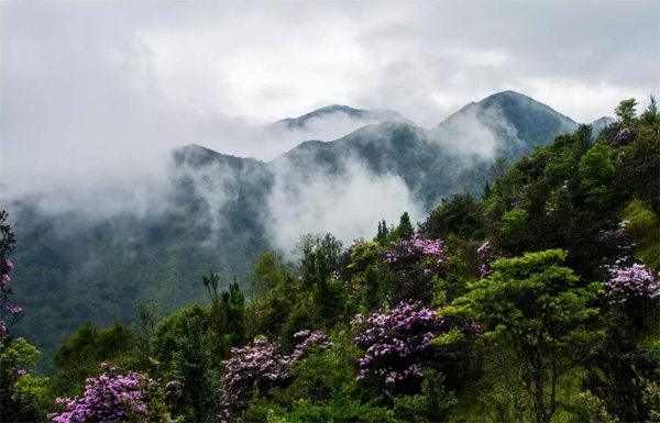 1589250148920039078.jpg 3.jpg