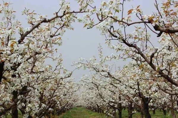 1626340897209066129.jpg 88ec116b9bd44513ae6cbf3e8cf64f5e_副本.jpg