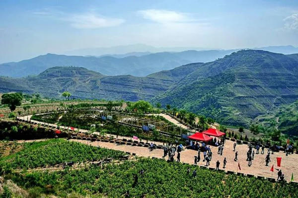 1614851036646013701.jpg 8ad4cba8060140999c814021171aafe4_副本.jpg