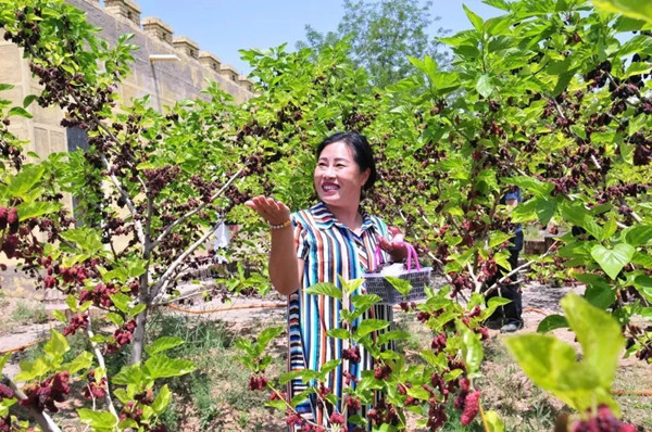 1614851074953078356.jpg ea5af4a4032549af8725526c0b6e724d_副本.jpg