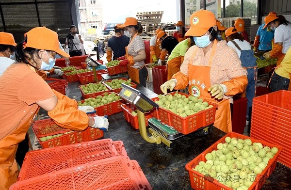 1716281674810011717.jpg 9.jpg