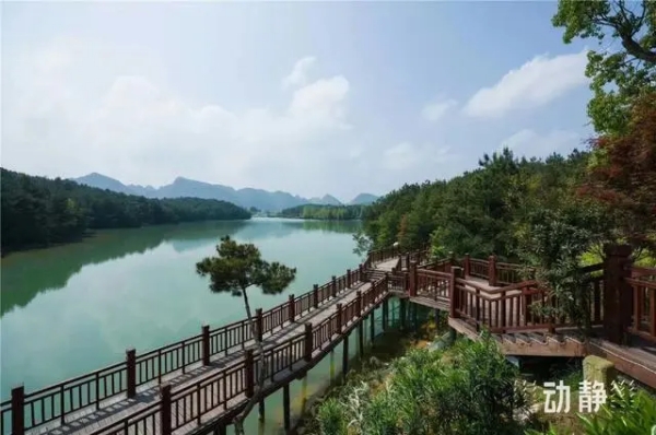 1721966296288048778.jpg W020240711604786804956_ORIGIN.jpg