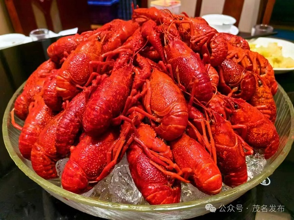 1723186524935086784.jpg 微信图片_20240809145020.jpg