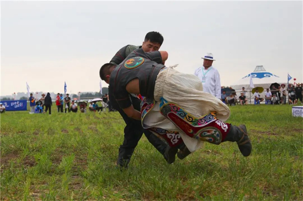 1724147646830054977.jpg 图片16.jpg