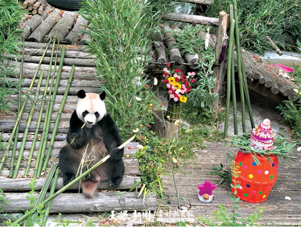 1725868713363043768.png 1.png