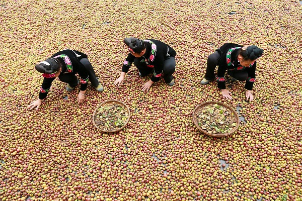 1729486023907039518.jpeg 2.jpeg