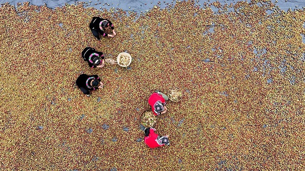 1729486035157090288.jpeg 3.jpeg