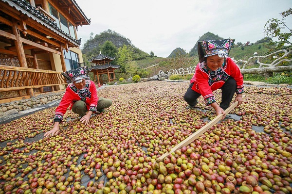 1729486046786045175.jpeg 4.jpeg