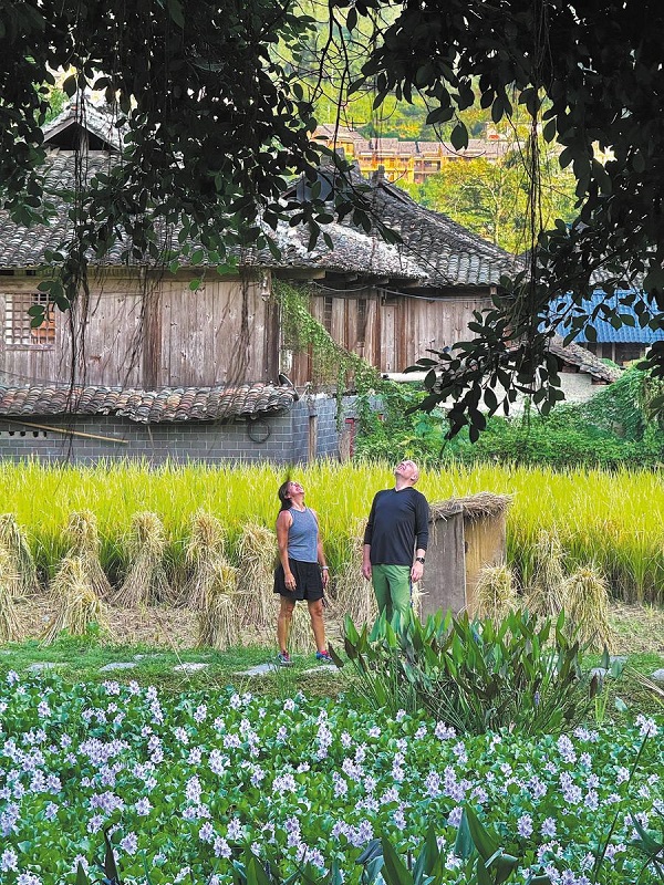 1730432148235005379.jpeg 2 - 副本.jpeg