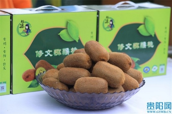 1728542613638013704.jpg 2.jpg