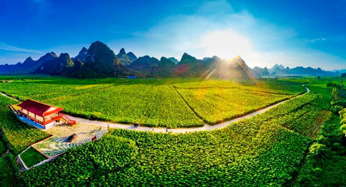 1723714727762004573.png clipbord_1723712722427.png