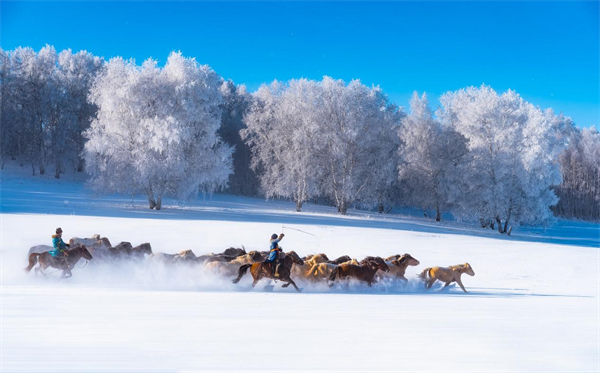 1731916999198039422.jpg 图片14.jpg