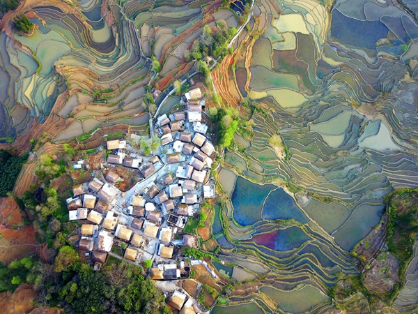 1731684973877051729.jpg 2.jpg