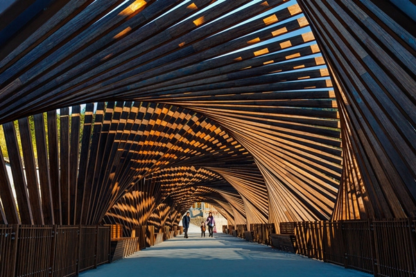 1731685141438098910.jpg 7.jpg