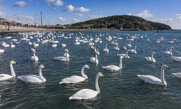 1732778488594006594.jpg 2165103420777955332.jpg