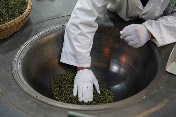 1731033118277004830.jpeg 3 - 副本.jpeg