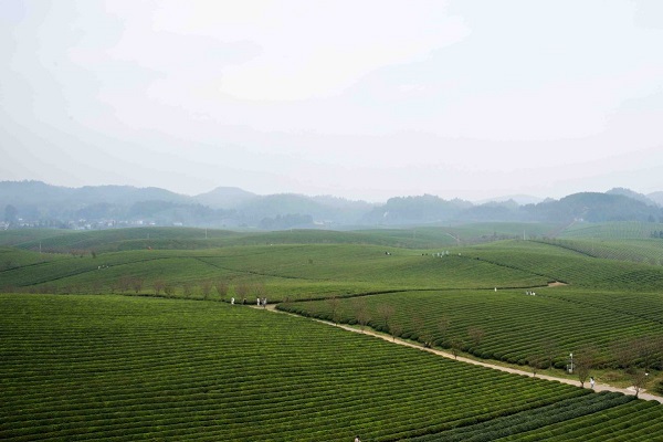 1731033131303038823.jpeg 4 - 副本.jpeg