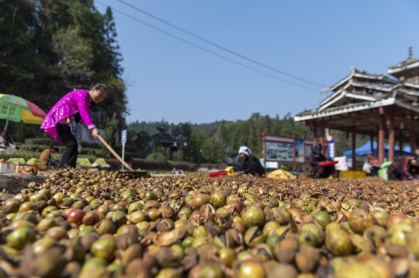 1731982106108026274.jpeg 1 - 副本.jpeg