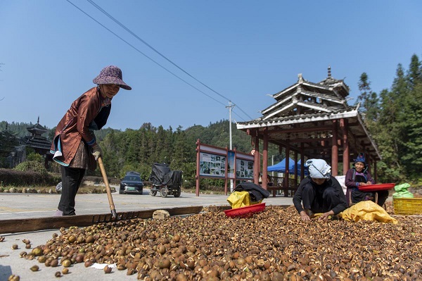 1731982121175079045.jpg 3 - 副本.jpg