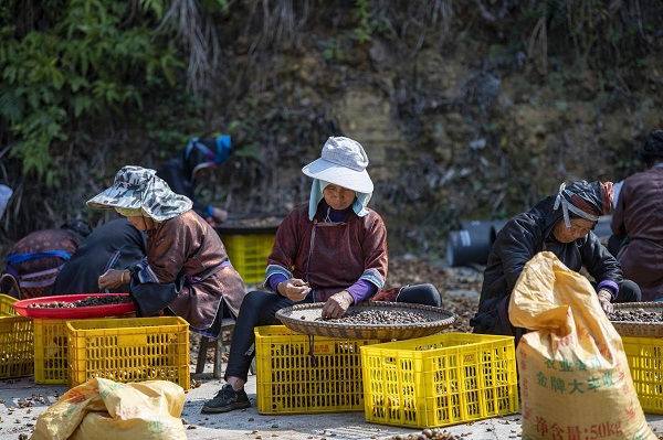 1731982128591031459.jpeg 4 - 副本.jpeg