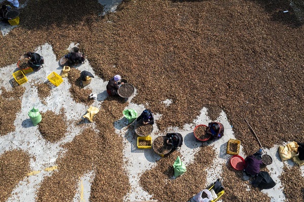 1731982142295075929.jpeg 6 - 副本.jpeg