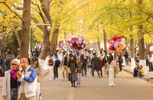 1731318097649086021.jpg VCG111529649432.jpg