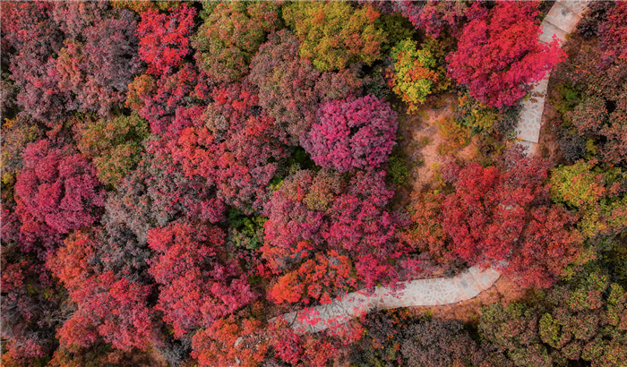 1728955158014016069.png 14-SD-4_副本.png