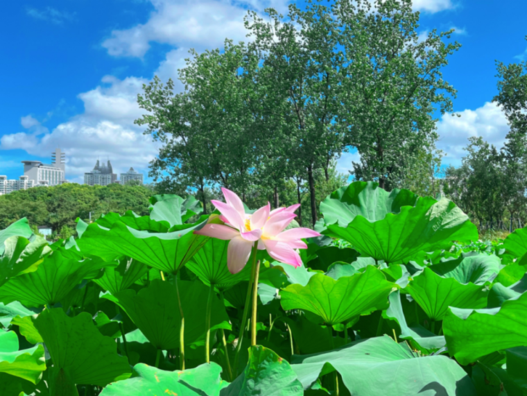 1722408892998088072.png 1722408892998088072.png